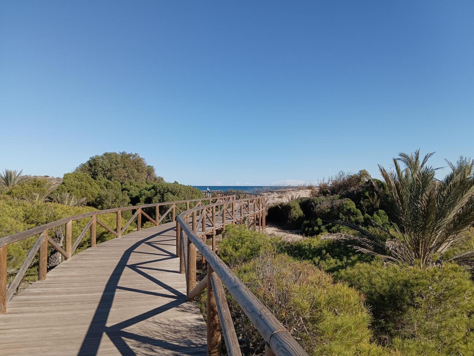 Bonito Apartamento 150 M De La Playa La Mata Torre La Mata Exterior foto