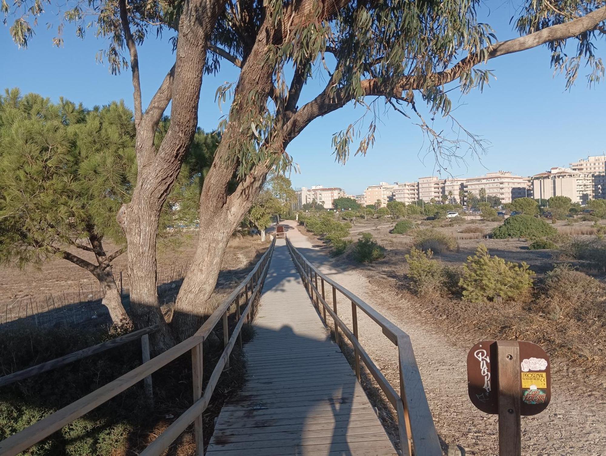 Bonito Apartamento 150 M De La Playa La Mata Torre La Mata Exterior foto