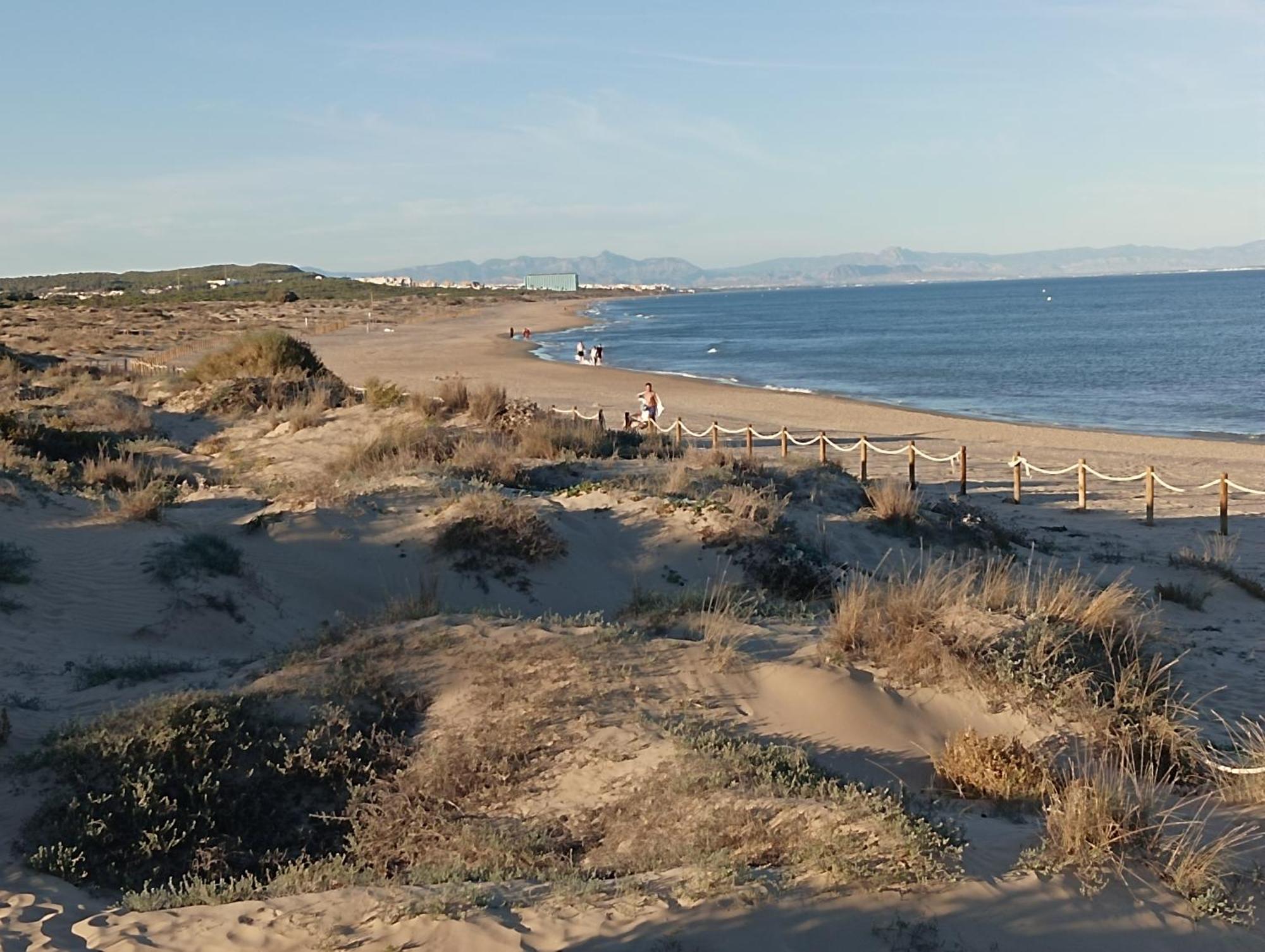 Bonito Apartamento 150 M De La Playa La Mata Torre La Mata Exterior foto